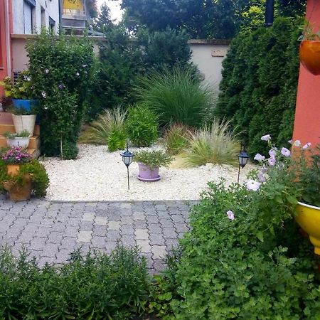 Aranyeso Vendeghaz Csorbai Ξενοδοχείο Βουδαπέστη Εξωτερικό φωτογραφία